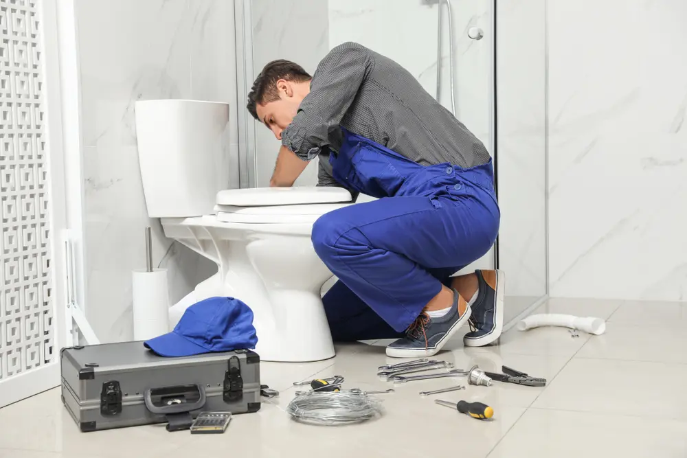 Toilet Repair in Lake Clarke Shores